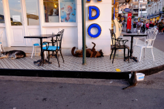 20200925-_DSF0508